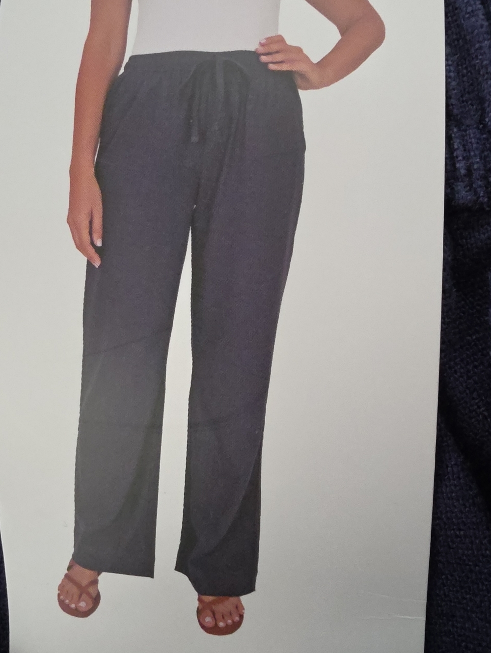Briggs New York Wide-Leg Drawstring Pants in Black